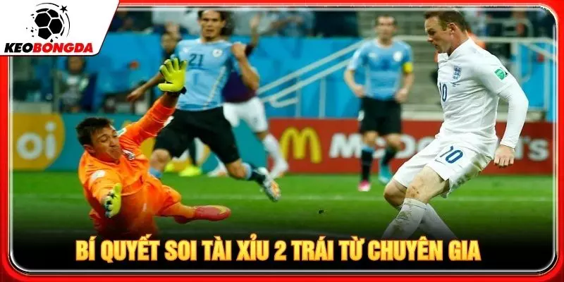 Bí quyết soi tài xỉu 2 trái từ chuyên gia