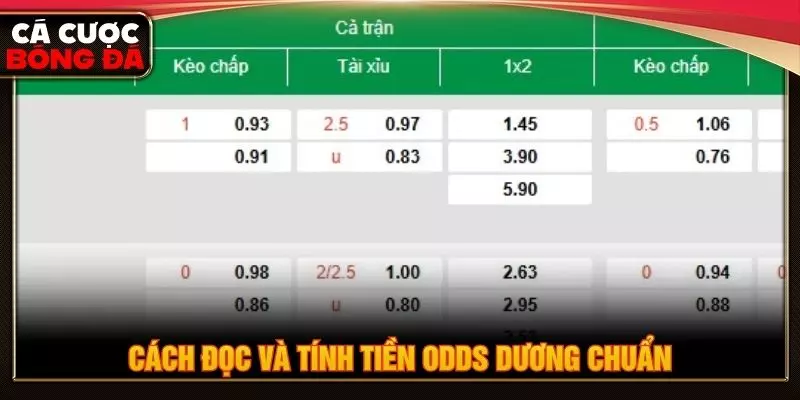 Cách đọc và tính tiền odds dương chuẩn