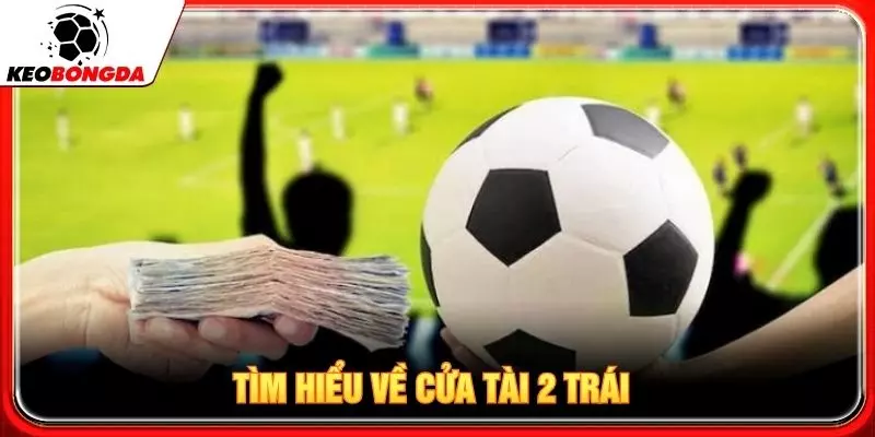 Tìm hiểu về cửa tài 2 trái